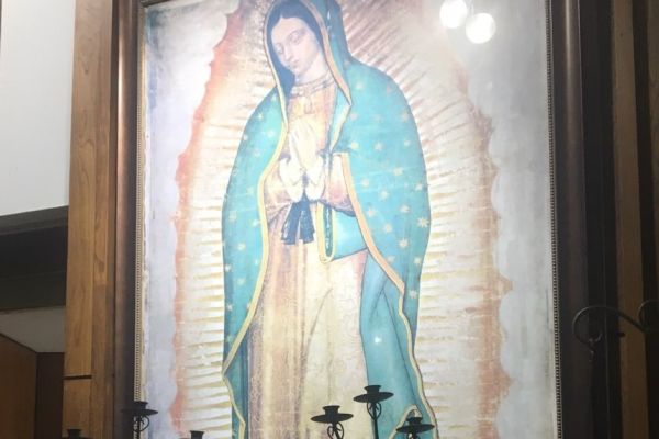 ourladyofguadalupe8895ef7b-f808-4d7b-a33e-96dbc24ea45a0A5F3724-0DE6-2603-36ED-155491D9DE33.jpg